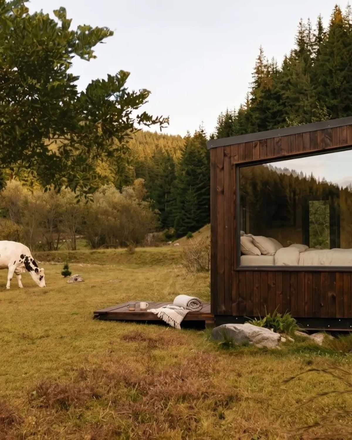 Luxury Cabin отвън в The Valley с ливада и гора, Родопите