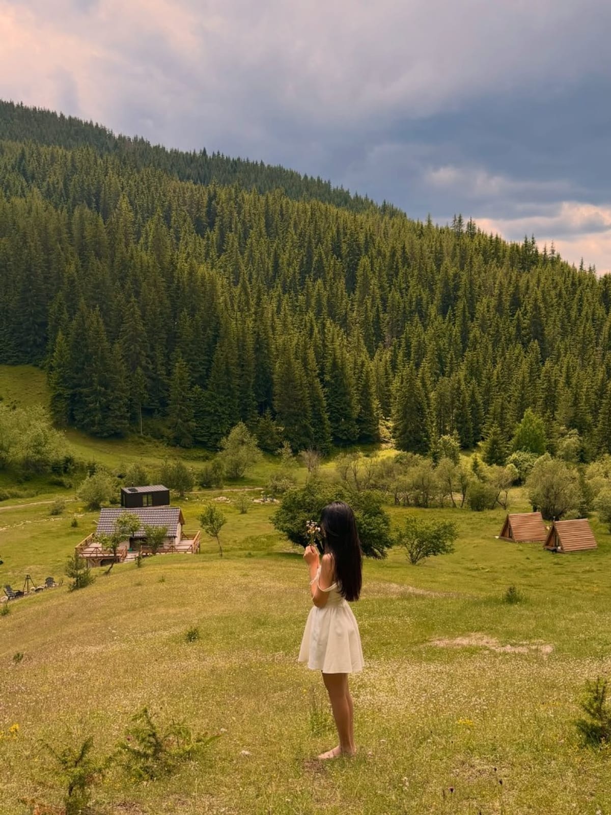 Ливада в The Valley с кабина и A-frame на заден план