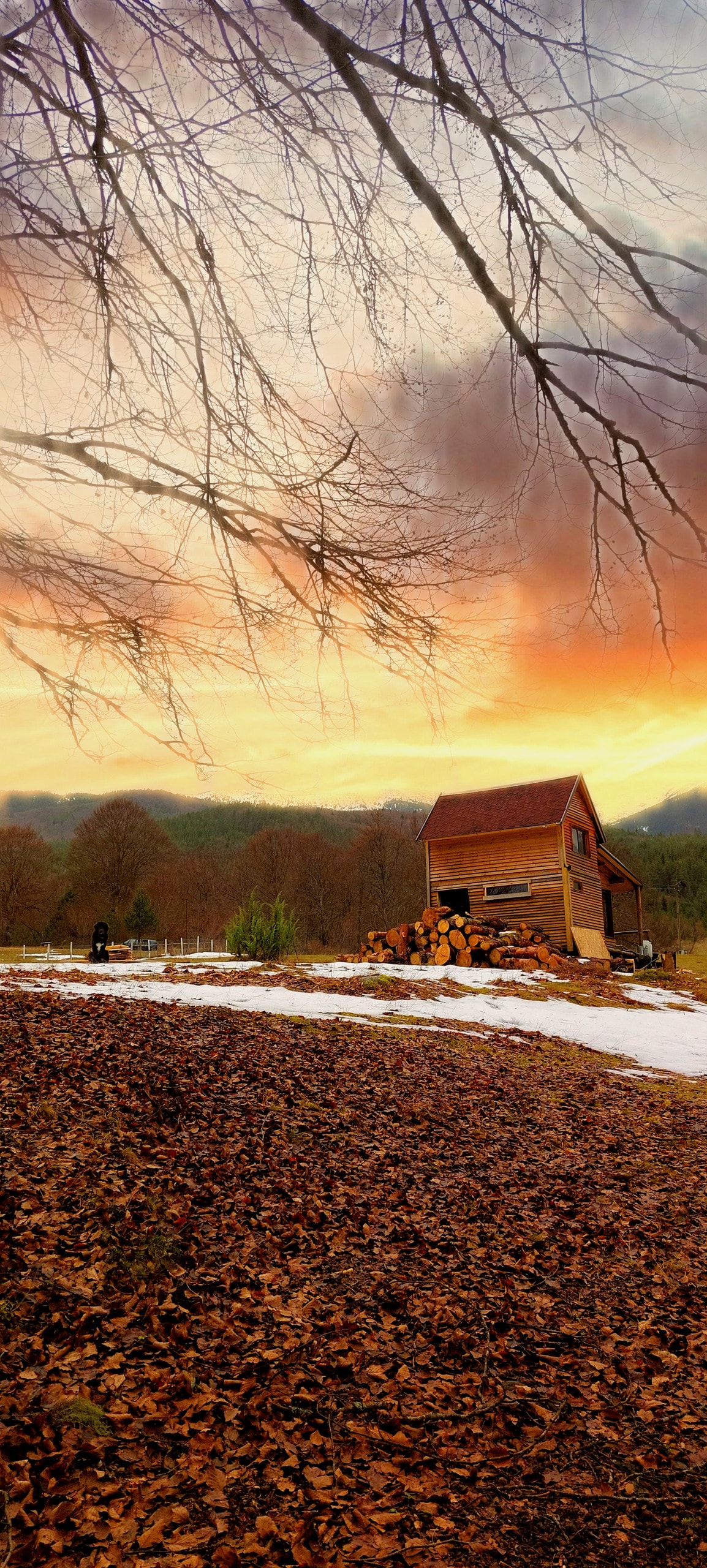 Cabin exterior at sunset