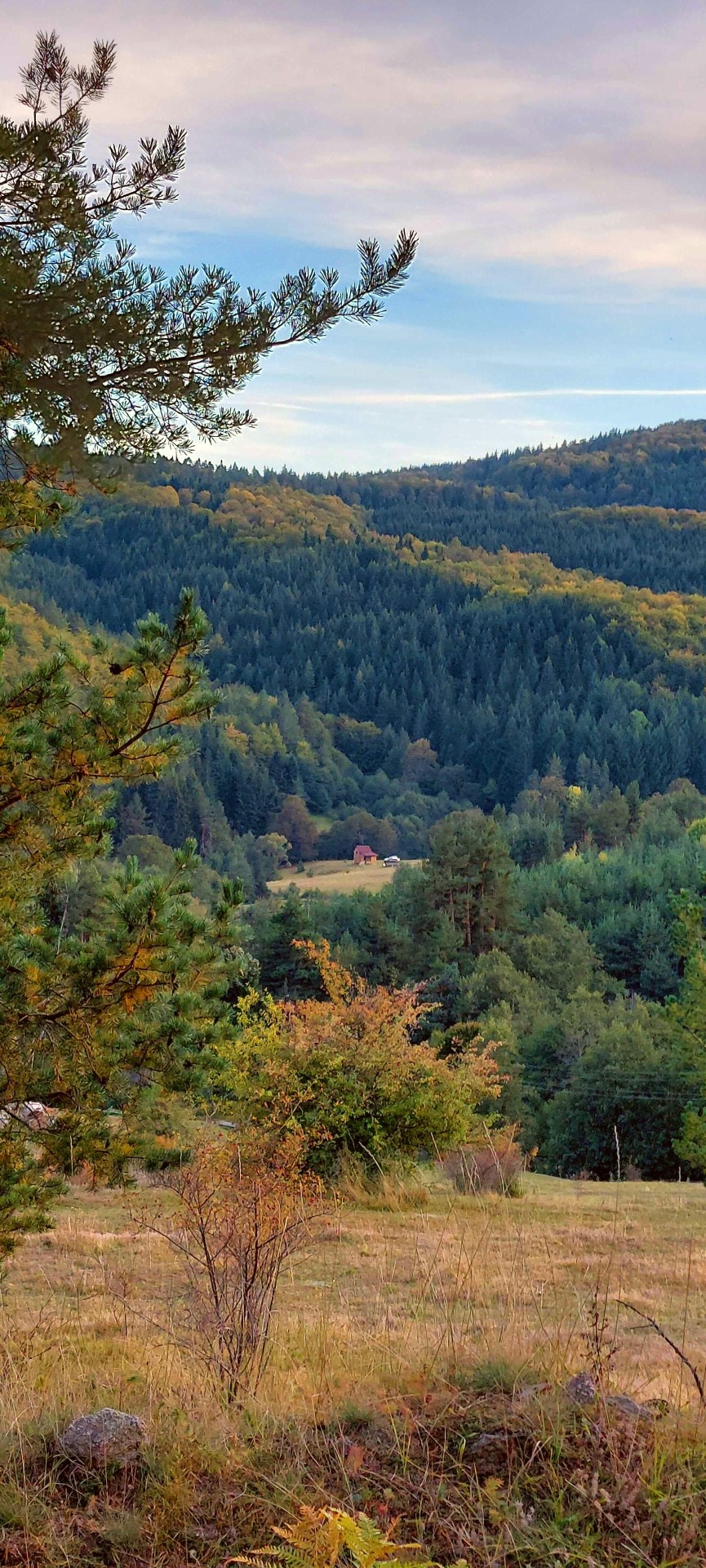 Green hills above the cabin
