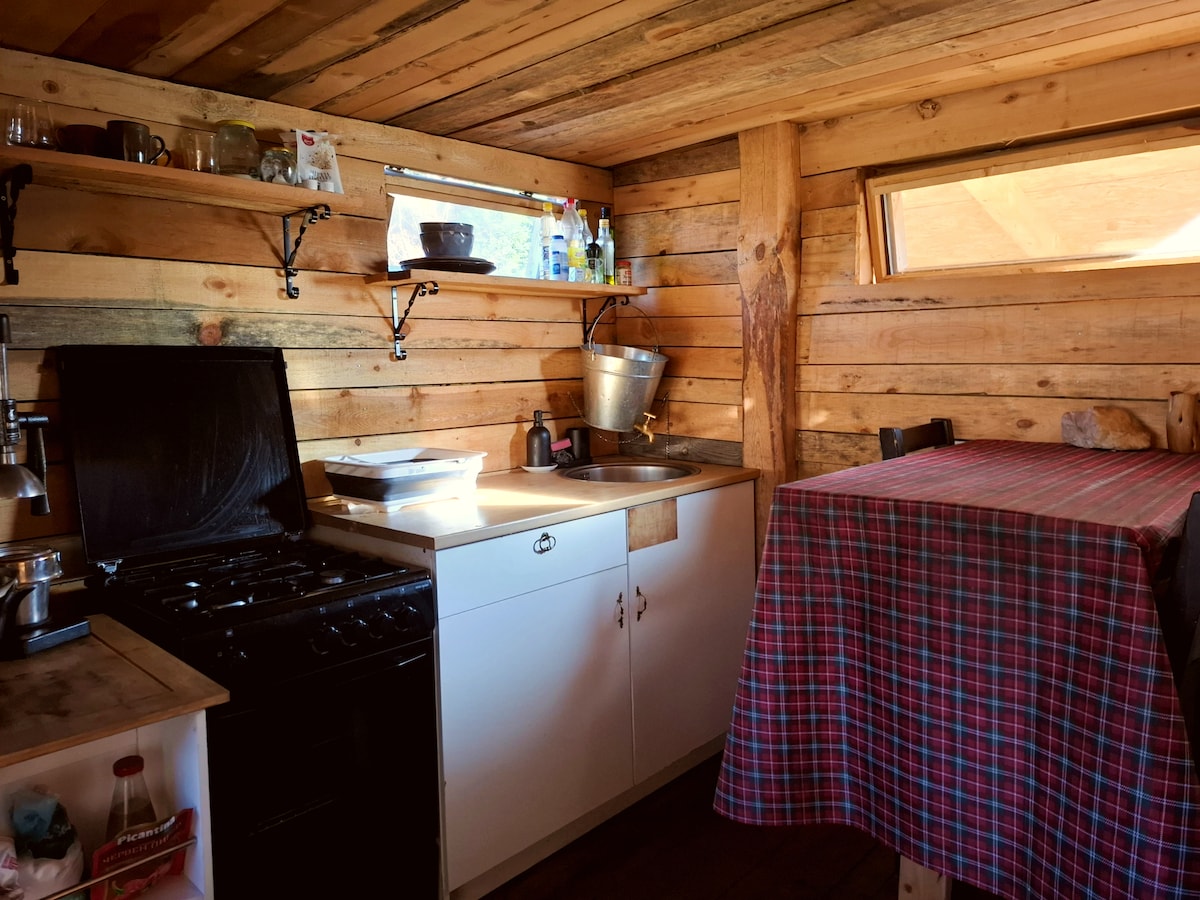 Cabin interior