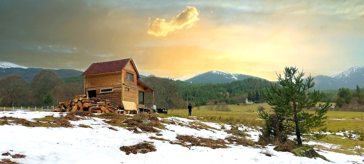 The Cabin